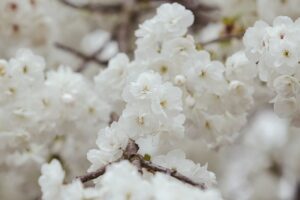 花粉が付着した肌を帰宅後にクレンジングする際のポイントは？