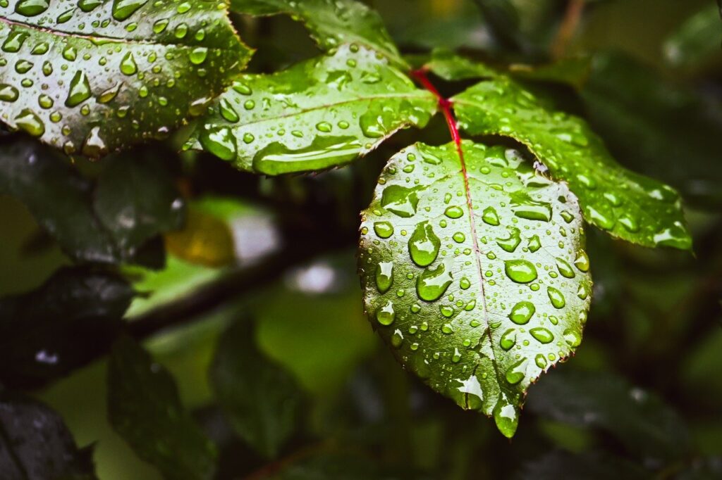 花粉シーズンの夜に気をつけるべき保湿の注意点は？