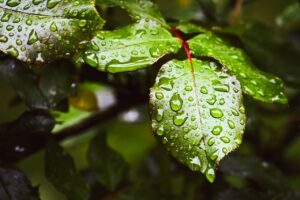 花粉シーズンの夜に気をつけるべき保湿の注意点は？