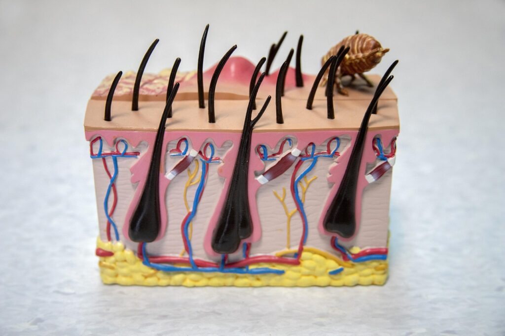 花粉症による目元のかゆみと皮膚炎の対策は？