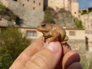 黄砂による肌荒れを防ぐ低刺激ケア方法は？
