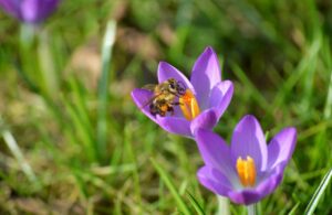 花粉症の女性が春に肌荒れを予防するための対策は？