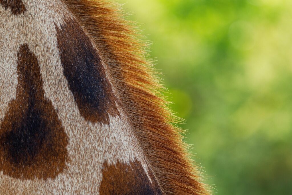 花粉症の敏感肌に夜の保湿は何回必要？