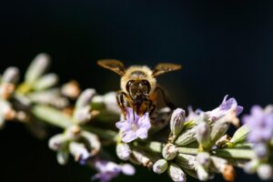 花粉症による花粉皮膚炎で目の下がかゆい時の対処法は？