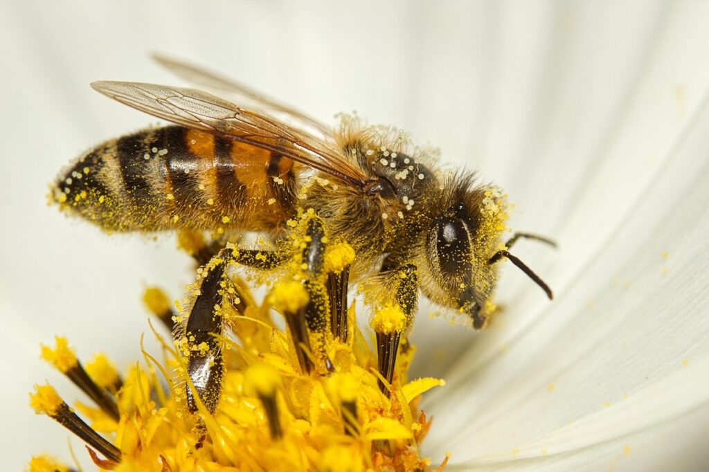 花粉症に最適なマスクの素材は？敏感肌向けの比較ガイド