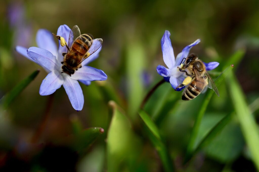 花粉症のパウダーだけで肌荒れを隠す方法は？