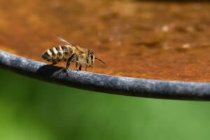 花粉症のマスク負けや汗をかく日はどう対策すればいい？