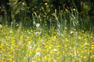 花粉症の方が選ぶべき低刺激の化粧下地は何ですか？