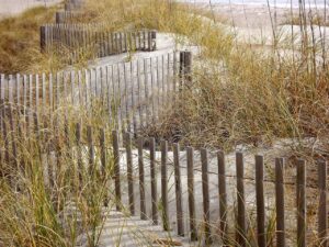 肌バリアを高めるための夜ルーティンと花粉シーズンの対策は？