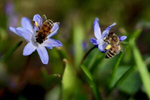 花粉症の肌荒れに効く内服薬は皮膚科でどれを選べばいい？