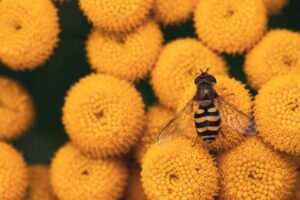 花粉症対策に役立つ生活習慣と肌バリアを守るためのスマホ清潔法は？