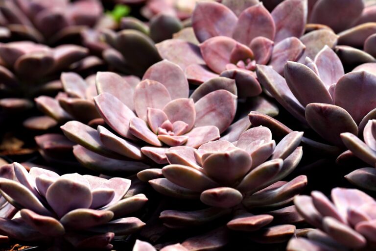 花粉症による肌荒れの口コミは本当に役立つ？