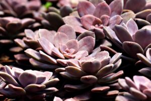 花粉症による肌荒れを予防するための具体策は？